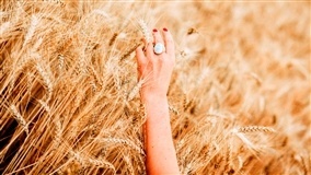 9ª edição do Prêmio Mulheres do Agro