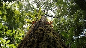 Logística agropecuária