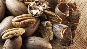 Noz-pecã: RS pode atingir maior safra da história