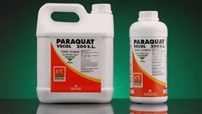 Paraquate deve ser extinto em setembro