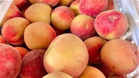 Preços competitivos