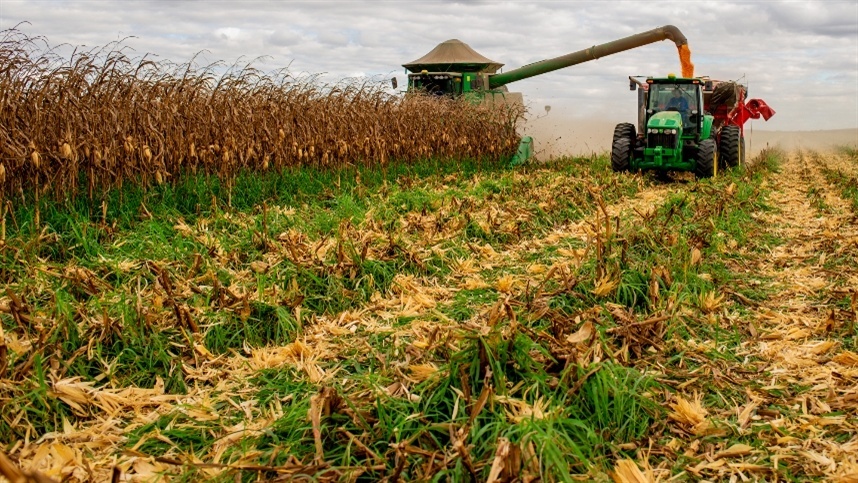 How is the US corn harvest?