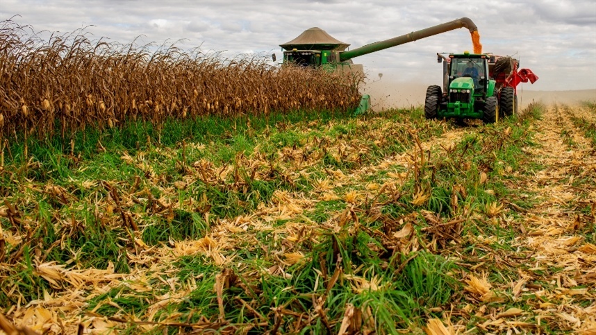 Moinhos falantes preveem aumento da produtividade nos EUA