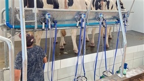 Curso ensina produção artesanal de laticínios no RS