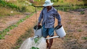 Governo francês pede para desempregados ajudarem agricultura
