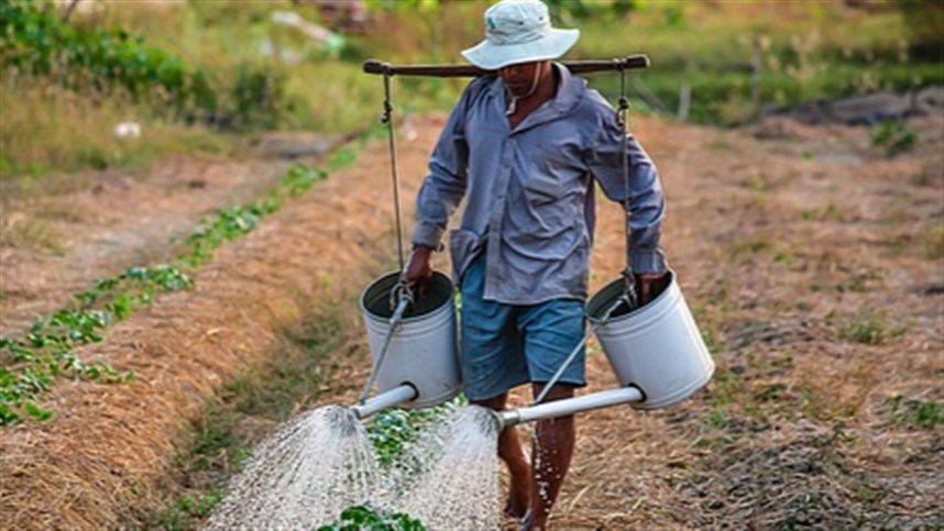 La agricultura ecológica crece en España