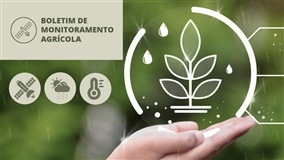 Clima e Safra