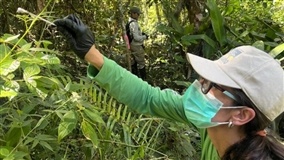 DNA ambiental avalia biodiversidade em áreas rurais