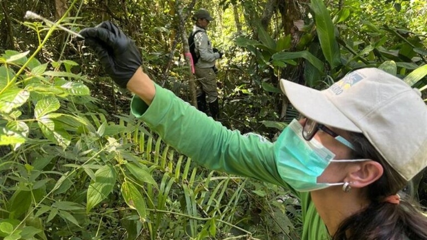 DNA ambiental avalia biodiversidade em áreas rurais