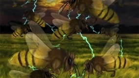 AGRISHOW 2024: abelhas sem ferrão fazem sucesso no estande