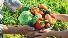 Agricultura Familiar