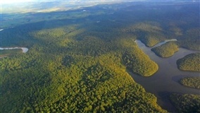 Brasil quer agronegócio verde