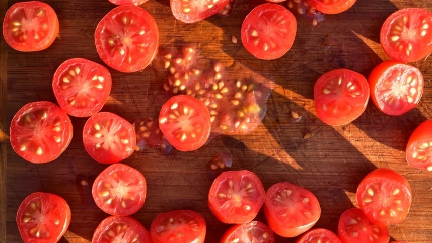 Samen von Zwergtomaten werden an die Raumstation abgegeben