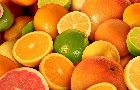 CITROS: Embarques de suco se recuperam em setembro