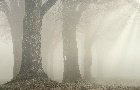 Clima