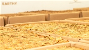 Novas possibilidades