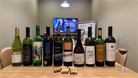 Vitivinicultura