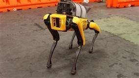 Novo cão robô pode se tornar “trabalhador rural”