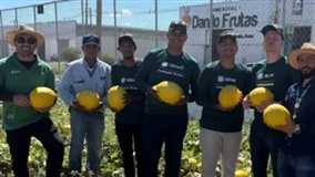 Formação técnica