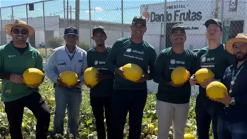Estudantes colhem 750 kg de melão premium no Senar Bahia
