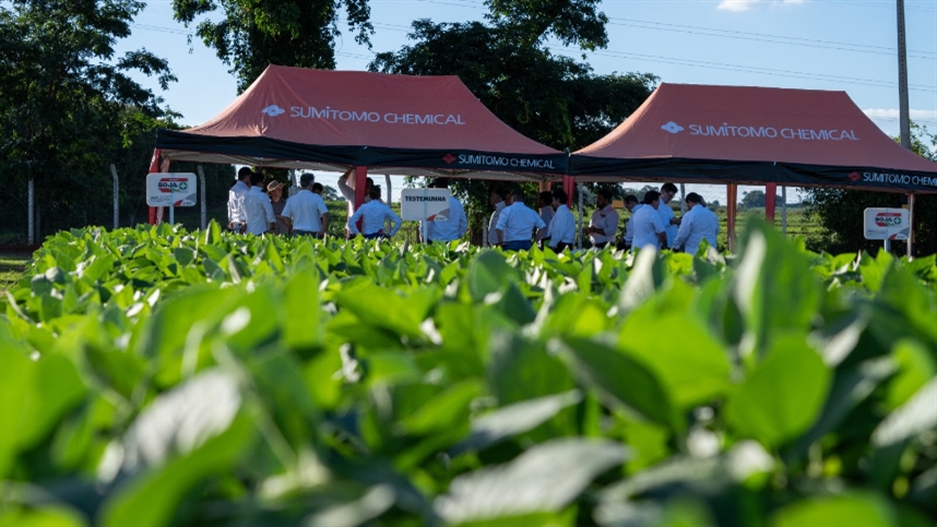 Sumitomo Biorational Company é criada nos EUA e vai acelerar inovações sustentáveis no agro do Brasil e da América Latina