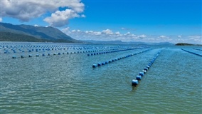 Temperatura da água do mar bate recorde na Ilha de SC