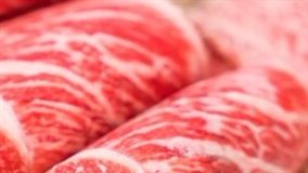 Exportação de carnes brasileiras terá crescimento tímido neste fim de ano, diz Maersk