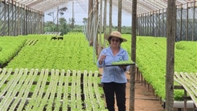 Produtora rural se destaca com hidroponia e capacitações