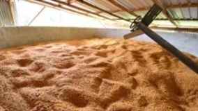 Agricultura Familiar inscreve produtores no "Projeto Peixe"