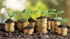 Preços agrícolas fecham o mês de julho com queda de 0,04%, diz IEA