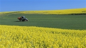 Governo veta auxílio de R$ 600 a agricultores