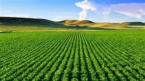 Conab mostra expertise de mercado e agricultura familiar na 42ª Expointer