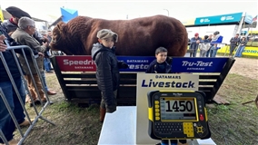 Hudson é bicampeão como animal mais pesado da Expointer