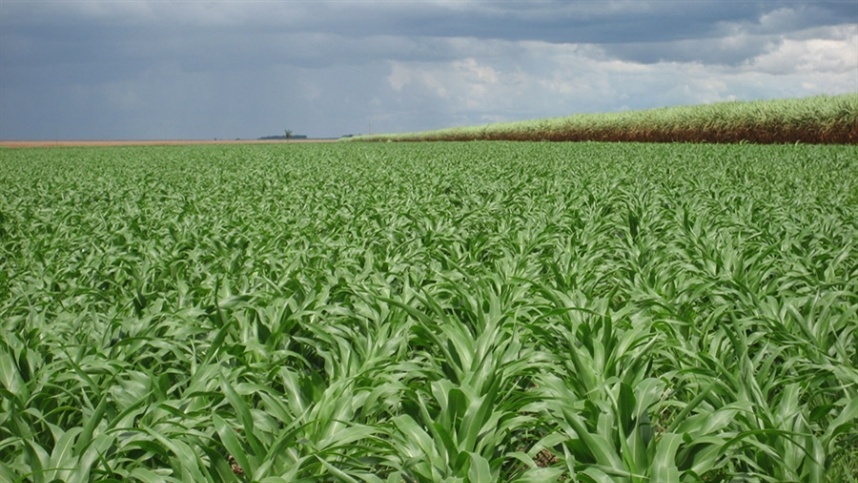 Fuertes lluvias persisten en zonas agrícolas