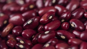 Feijão tem queda de preços no início de abril