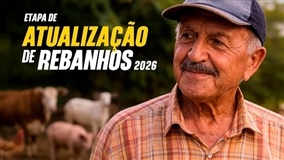 Minas exige atualização obrigatória do rebanho em 2024