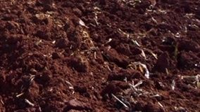 Cachoeira do Sul recebe Seminário