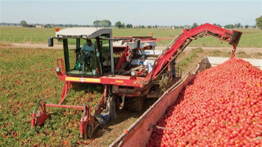 mercado-de-m-quinas-de-processamento-de-tomate-ir-faturar-us-1-9
