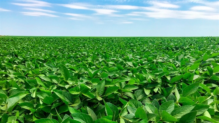 UM AGRICULTOR, BUSCANDO O AUMENTO DA PRODUTIVIDADE DE SUA