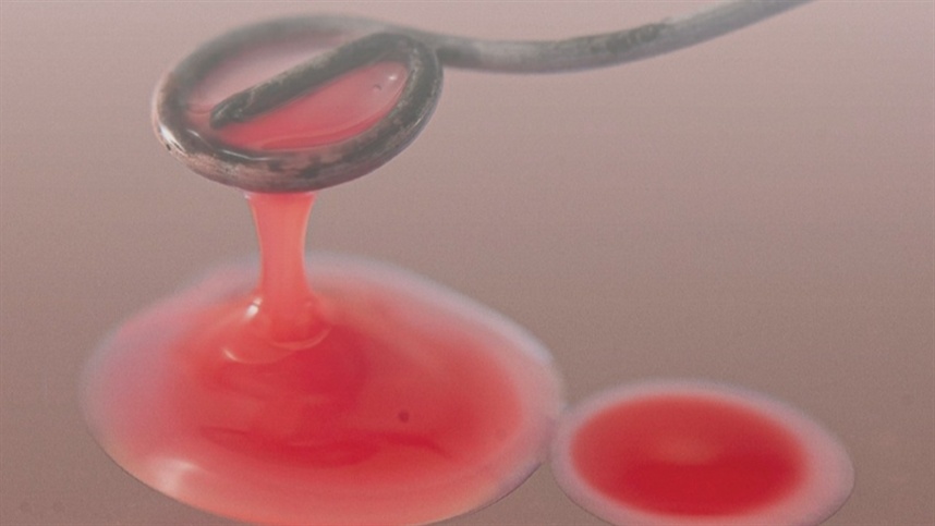 Bioinsumos sustentáveis