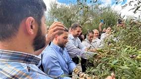 RS concentra 80% do azeite brasileiro