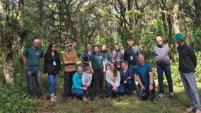 Epagri recebe franceses para troca sobre agrofloresta