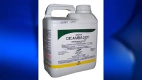 BASF defende Dicamba: “Seguro quando usado corretamente”