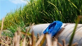 ABERTURA COLHEITA DO ARROZ