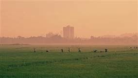 Plano Safra