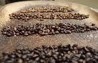 Frente fria limita queda dos preços do café