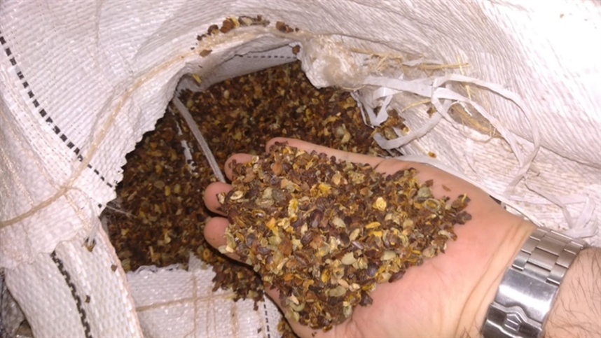 Fiscalização revela irregularidades em estabelecimentos e produtos