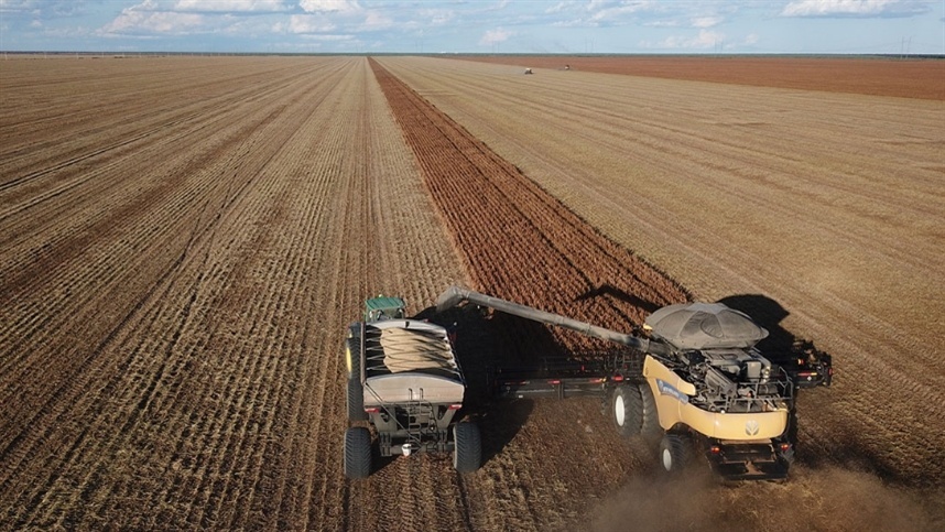 AGROLINK | O Portal do conteúdo Agropecuário. Confira: Noticias atualizadas, Previsão do tempo, cotações, sistemas especialistas de produtos agro, Colunistas, Classificados gerais.