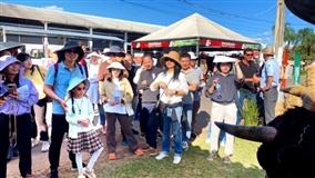 Delegação da China visita feira durante Dia Internacional