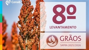 Safra de grãos pode atingir 358 mi de toneladas no Brasil